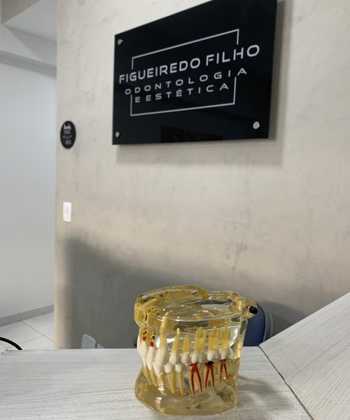 estrutura_figueiredo_filho_09